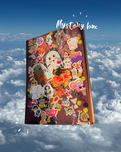 Studio Mystery Box ~ Collector's Edition